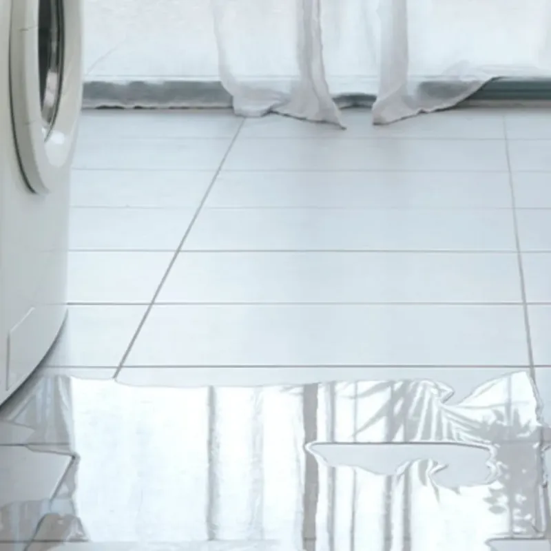 Appliance Leak Cleanup in Venersborg, WA