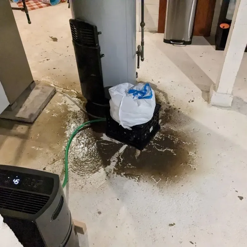 Sewage Backup Cleanup Service in Venersborg, WA